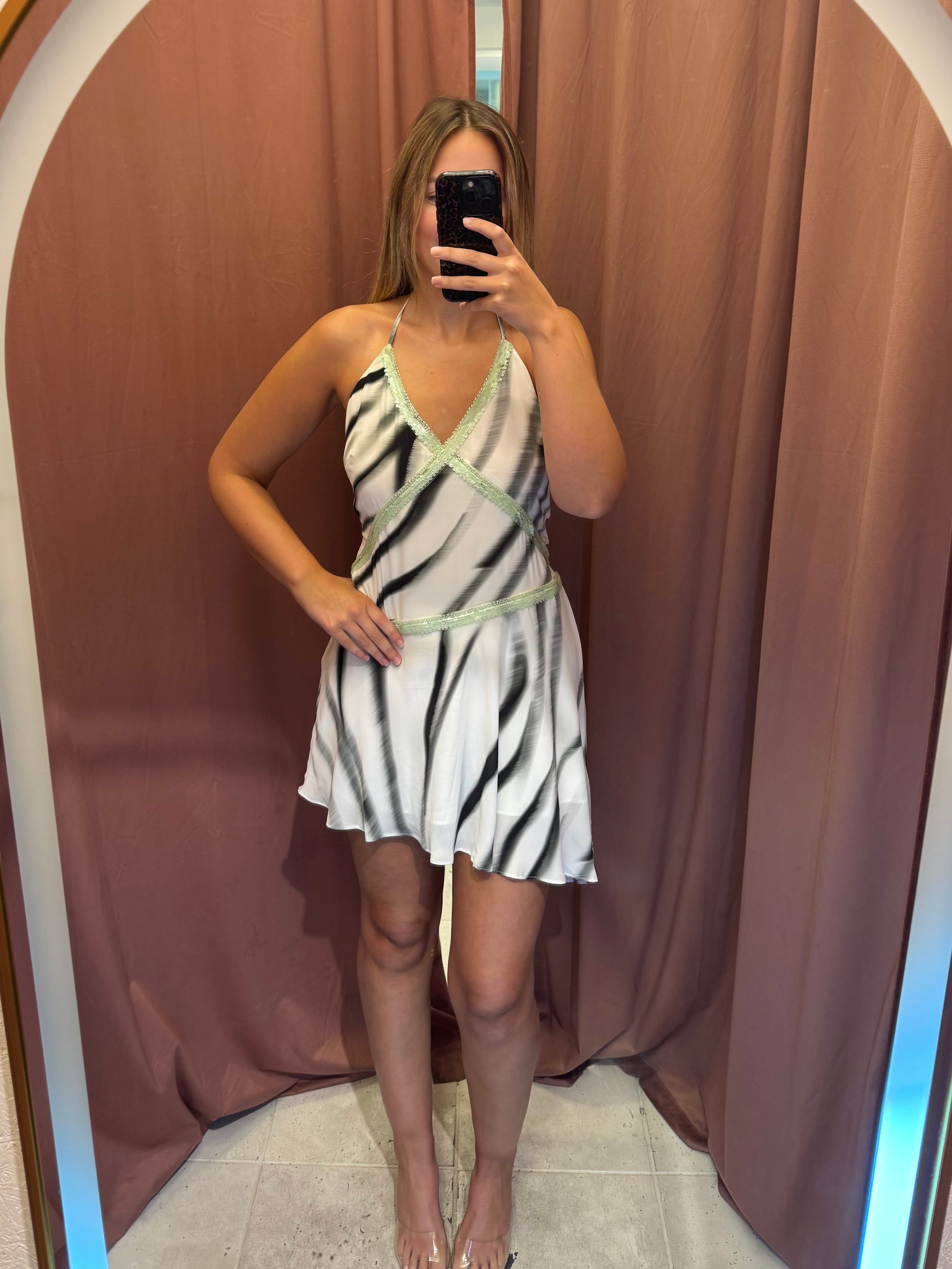 Zanzi Mini Dress Zebra